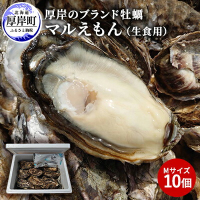 【ふるさと納税】牡蠣 厚岸のブランド牡蠣 マルえもん Mサイズ 10個 生食用 魚貝類 海鮮 海のミルク 国産 生食用殻付き牡蠣 まろやか クリーミー 食べやすい品種 海の香り 牡蠣の酒蒸し 焼き牡蠣