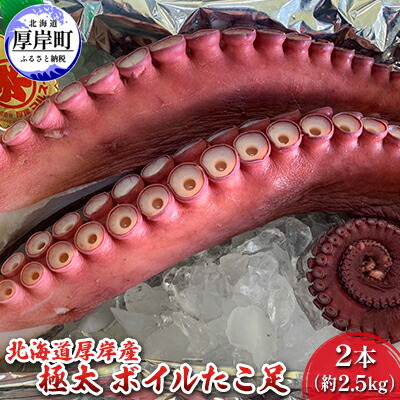 【ふるさと納税】北海道 厚岸産 極太 ボイルたこ足 2本（約2.5kg） 魚介類 海鮮 海の幸 刺身 タコ焼き タコ飯 アヒージョ ミズダコ 真蛸 真空包装 急速冷凍 歯ごたえ 旨み 低糖質 低カロリー