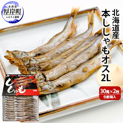 【ふるさと納税】北海道産 本ししゃも オス2Lサイズ 30尾×2枚 化粧箱入 (合計60尾入り) 魚貝類 海鮮 海の幸 魚 魚料理 夕飯 夜ごはん おかず 食材 つまみ お酒のあて 肴 国産 国産シシャモ