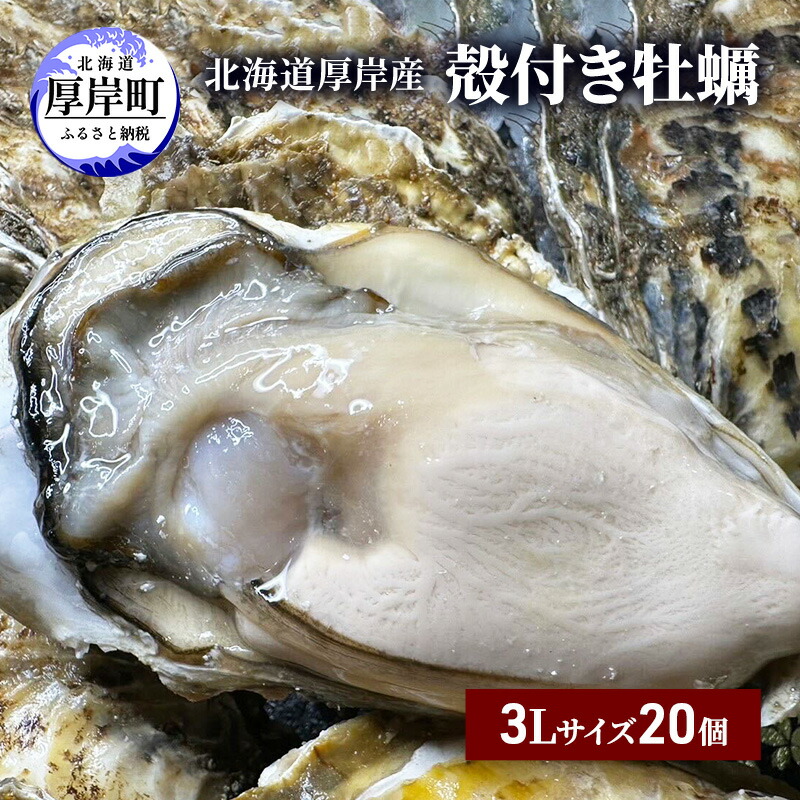 【ふるさと納税】北海道 厚岸産 殻付き 牡蠣 3Lサイズ 20個 魚貝類 生牡蠣 海鮮 海の幸 生食用牡蠣 生食用 生食用殻付き牡蠣 濃厚 甘み オイスター