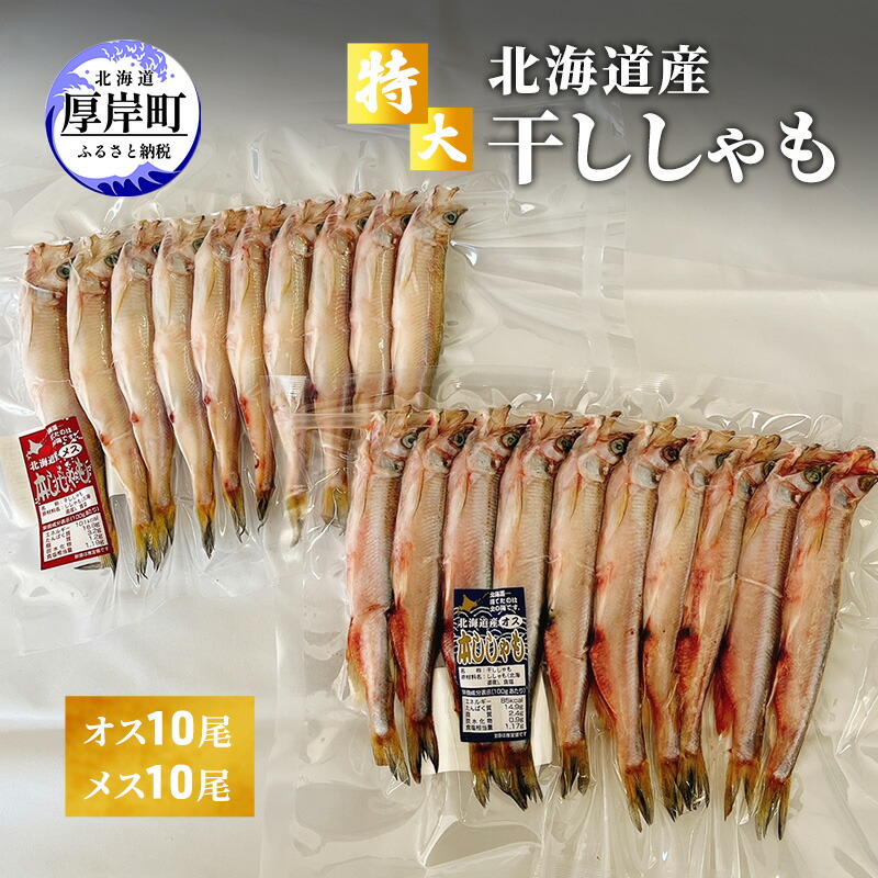 【ふるさと納税】特大 北海道産 干ししゃも オス10尾・メス10尾 魚貝類 海鮮 海の幸 海産物 魚 おかず つまみ お酒のあて 海道産ししゃも 高級魚 一夜干し