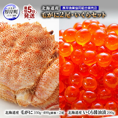 【ふるさと納税】厚岸漁協イチオシ！【3D冷凍】北海道産 毛がに（約350g～400g）2尾・いくら200gセット 毛カニ 蟹 毛蟹 魚卵 魚介類 魚介