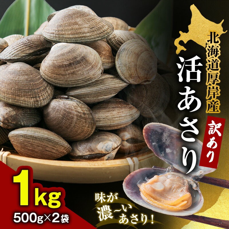 【ふるさと納税】北海道 厚岸産 訳あり 活あさり 500g×2 (合計1kg) アサリ 魚貝 海鮮 大粒 美味しい 栄養 旨み 砂出し 水洗い 冷蔵 冷凍保存可能 便利 　お届け：2024年9月～2025年7月15日まで