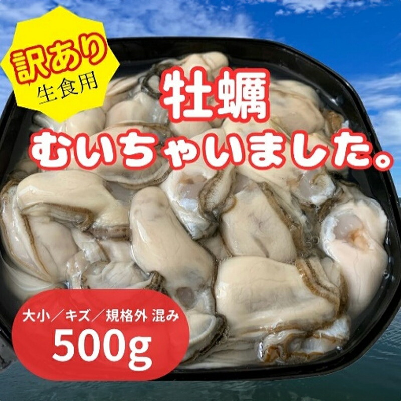 【ふるさと納税】北海道 厚岸産 訳あり 牡蠣むいちゃいました  生食用 500g  カキ むき身 牡蠣 　お届け：2025年1月～7月中旬