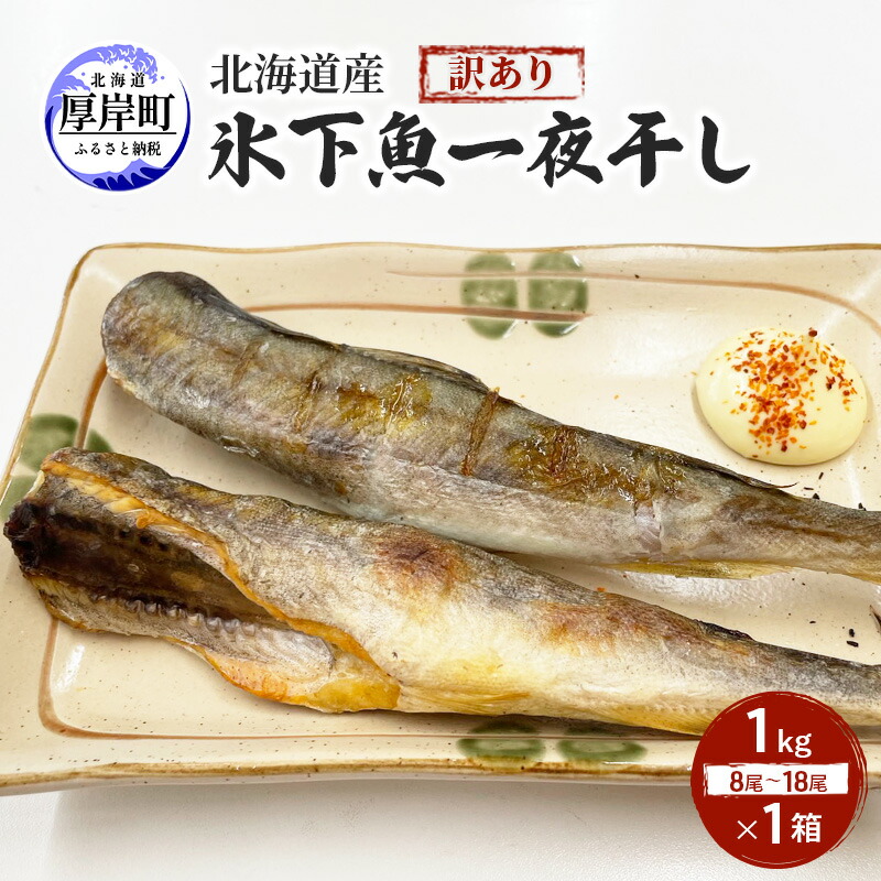 【ふるさと納税】北海道産 訳あり 氷下魚 一夜干し 1kg こまい コマイ 魚 魚介類 白身魚 干物 ひもの 北海道 厚岸町