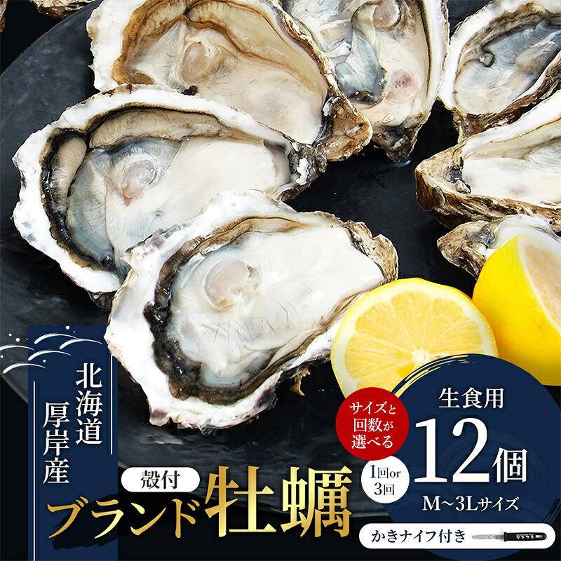 【ふるさと納税】カキ 生食用 選べるサイズ 回数　Mサイズ～３Lサイズ 家族にちょうどいい容量 北海道厚岸産 牡蠣 マルえもん 12個　 [ 魚貝類 海の幸 海のミルク 海鮮 国産 北海道産 オイスター つまみ お酒 あて 肴 生牡蠣 ]｜北海道厚岸町