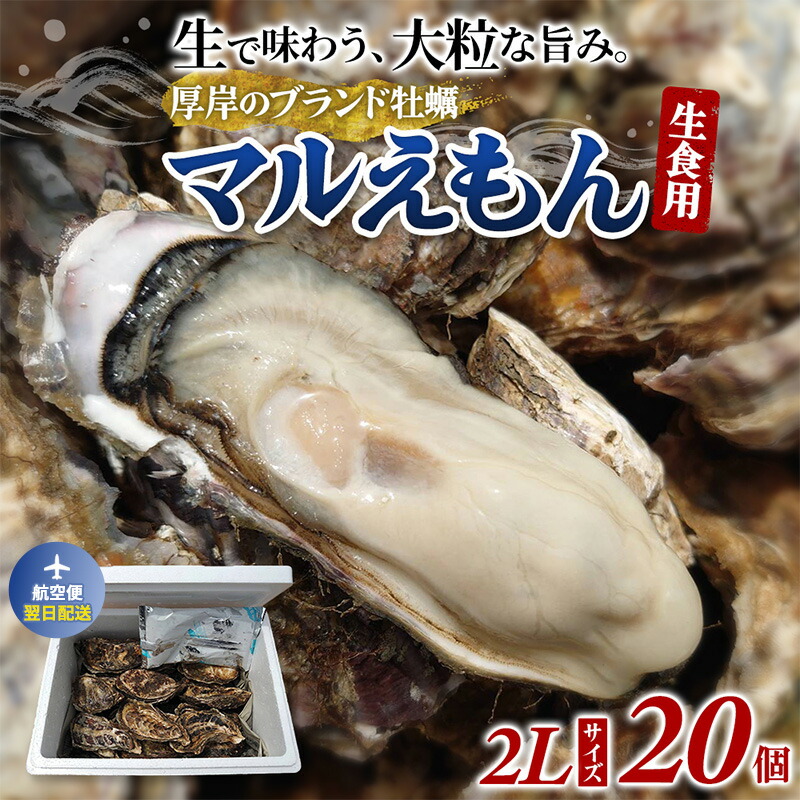 【ふるさと納税】翌日配送 航空便 厚岸のブランド牡蠣 マルえもん 2Lサイズ 20個 [ 牡蠣 生食用 魚貝類 海鮮 海のミルク 国産 生食用殻付き牡蠣 まろやか クリーミー 牡蠣の酒蒸し 焼き牡蠣 マルえもん ]