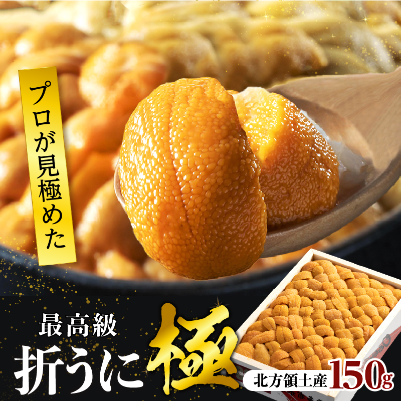 【ふるさと納税】プロ厳選 箱詰め 折うに 生うに 刺身 最高級 天然 バフンウニ 150g 新鮮 食品 うに丼 海鮮 海産物 魚介 お取り寄せ グルメ 人気 おすすめ プレゼント おつまみ お酒 寿司 パスタ 軍艦 トッピング ギフト 贅沢 北海道 浜中町 送料無料