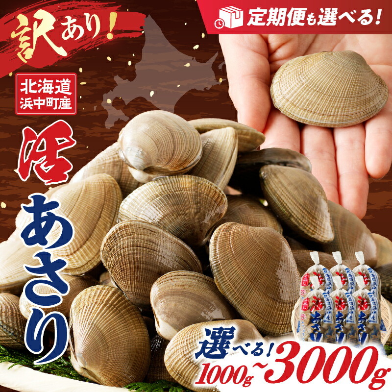 貝　まとめ売り 毎月11ヶ月定期便】☆NH北海道 野付産 冷凍ホタテ 貝柱 特大（Mサイズ