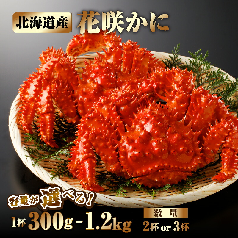 【ふるさと納税】【容量が選べる】 北海道産 花咲かに 花咲ガニ カニ 2杯 ～ 3杯 1杯 300～1.2kg 国産 浜茹で 新鮮 ボイル 海鮮 魚介類 海産物 お取り寄せ グルメ 贅沢 かにみそ 濃厚 うま味 鍋 雑炊 贈り物 良品 食品 冷凍 浜中町 送料無料