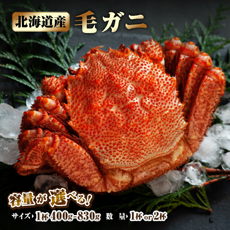 【ふるさと納税】【容量が選べる】 北海道産 毛ガニ カニ 1杯 ～ 2杯 約400 ～ 830g 国産 数量限定 新鮮 かに 浜茹で 浜中町 お取り寄せ 贅沢 グルメ ギフト プレゼント 贈り物 真空 海鮮 魚介類 海産物 食品 ボイル 雑炊 かにみそ 冷凍 送料無料｜北海道浜中町
