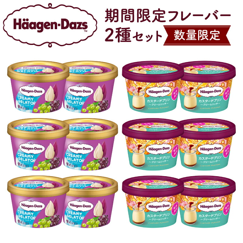 【ふるさと納税】【数量限定】 ハーゲンダッツ アイスクリーム ミニカップ 12個 CREAMY GELATO 贅沢ぶどう カスタードプリン 2種 アイス ジェラート スイーツ デザート 高級 濃厚 北海道 期間限定 人気 おすすめ 国産 浜中町産 牛乳 冷凍 菓子 ギフト 贈り物 ご褒美 贅沢 16,280円