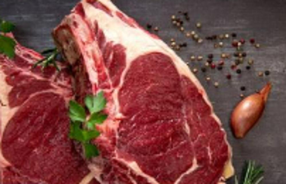 【ふるさと納税】北海道 標茶町産 エゾ 鹿肉 骨付きかた肉 約2kg