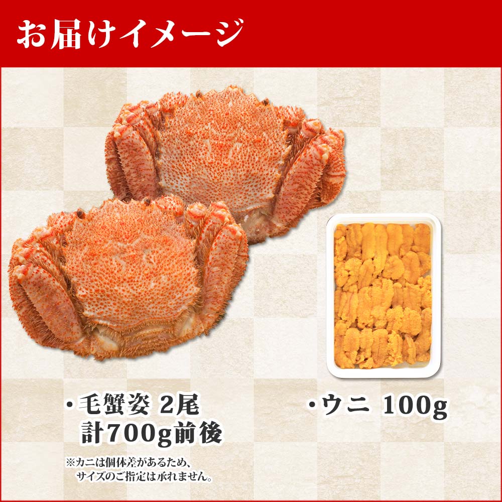 市場 ふるさと納税 うに 蟹 2尾 毛ガニ 1374. 食べ方ガイド付き 毛がに 毛蟹 専用ハサミ 計700g前後 100g