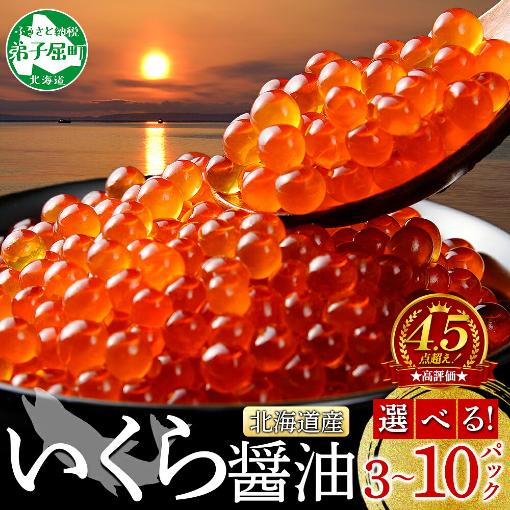 【ふるさと納税】 いくら醤油 240g 480g 800g 小分け いくら醤油漬け イクラ 天然 いくら イクラ 北海道産 魚介 魚卵 鮭 サケ しゃけ ギフト お歳暮 正月 北海道 弟子屈町