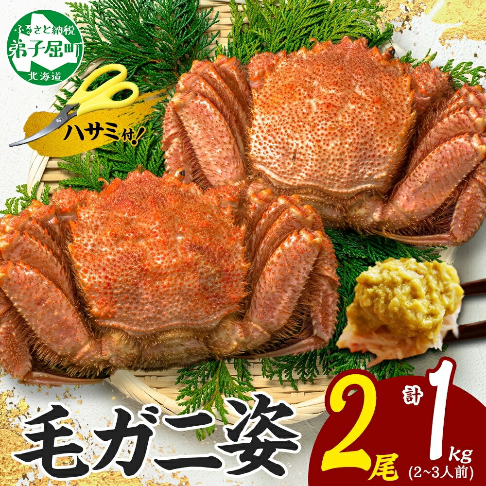 【ふるさと納税】3319. カニ 蟹 毛蟹 2尾 計1kg前後 食べ方ガイド・専用ハサミ付 カニ かに 蟹 海鮮  ボイル キャンプ飯 バーベキュー BBQ 送料無料 北海道 弟子屈町