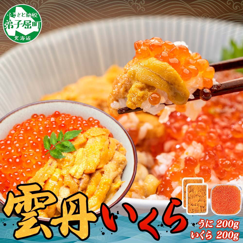 【ふるさと納税】 3400. ウニ チリ産 冷凍 いくら 二色丼 うに 雲丹 イクラ 海鮮 海鮮丼 うに丼 いくら丼 いくら醤油漬け いくら200ｇ（アメリカ産）＆うに（チリ産）100ｇ×2個セット 送料無料 北海道 弟子屈町