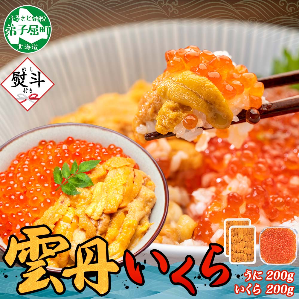 【ふるさと納税】3381. 無地熨斗 ウニ チリ産 冷凍 いくら 二色丼 うに 雲丹 イクラ 海鮮 海鮮丼 うに丼 いくら丼 いくら醤油漬け 熨斗 のし 名入れ不可 贈り物 贈答用 送料無料 北海道 弟子屈町