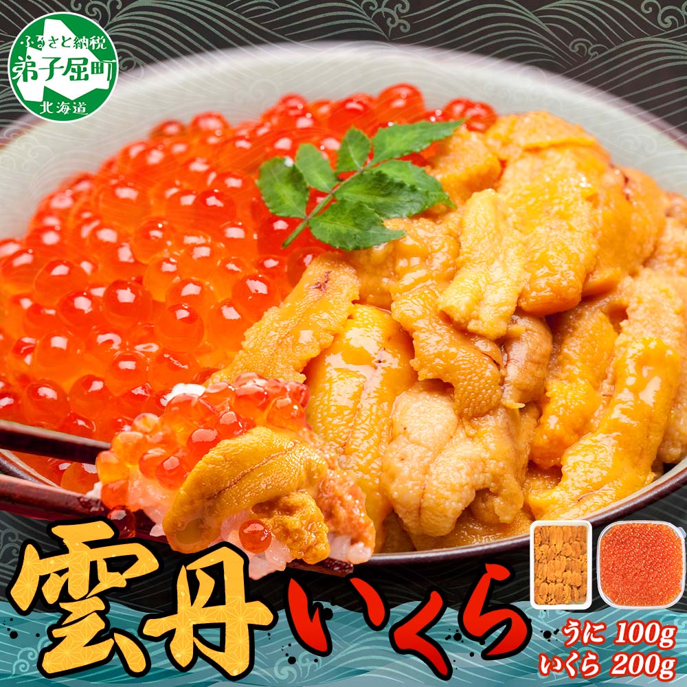 【ふるさと納税】 3366. 雲丹 100g いくら醤油漬け 200g  うに さけ いくら しょうゆづけ 海鮮丼 冷凍 鮭 イクラ ウニ 雲丹 海鮮 手巻き寿司 ごはん おかず  人気 お取り寄せ グルメ 贅沢 ギフト お歳暮 お中元 正月 お祝い  送料無料 北海道 弟子屈町