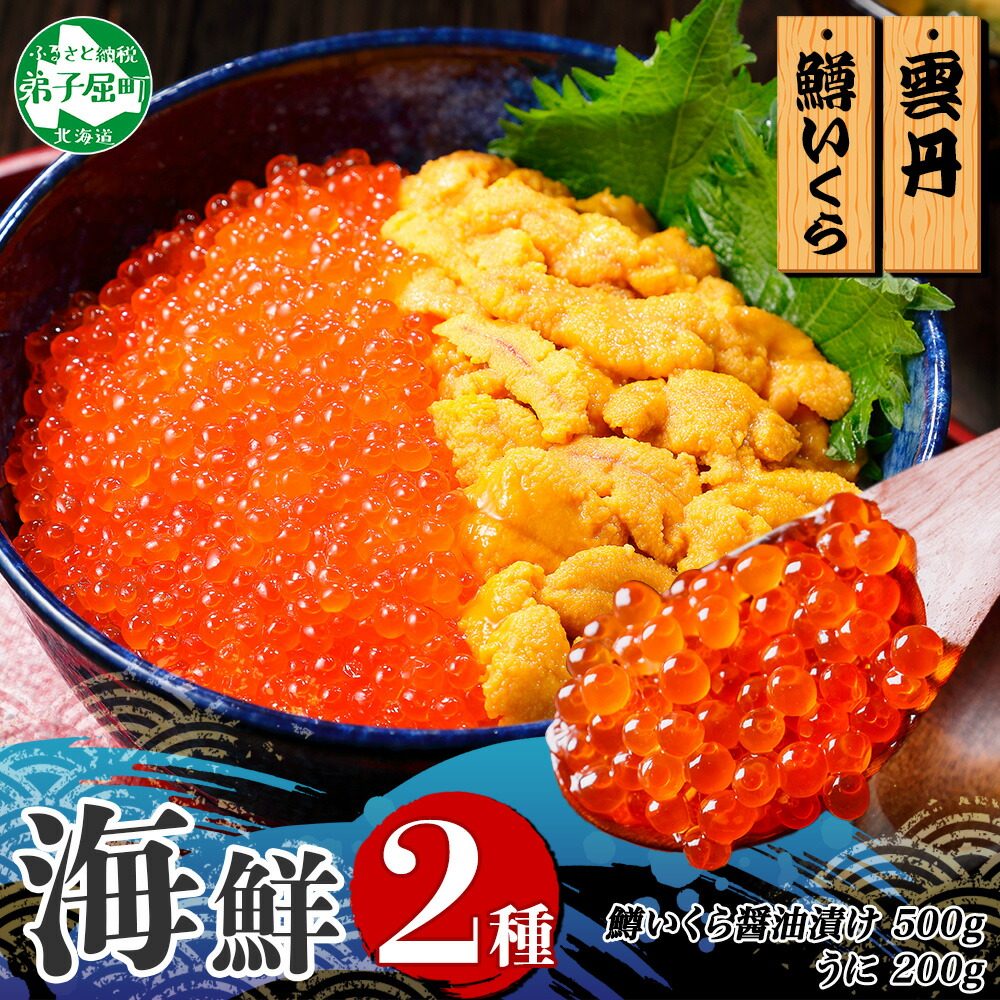 【ふるさと納税】 3402. 2種 海鮮丼 鱒 いくら醤油漬け 100g×5 約5-6人前 ウニ チリ産 冷凍 雲丹 うに 100g×2 セット いくら イクラ いくら醤油 ますいくら マスイクラ 魚卵 ます マス 海鮮 送料無料 北海道 弟子屈町