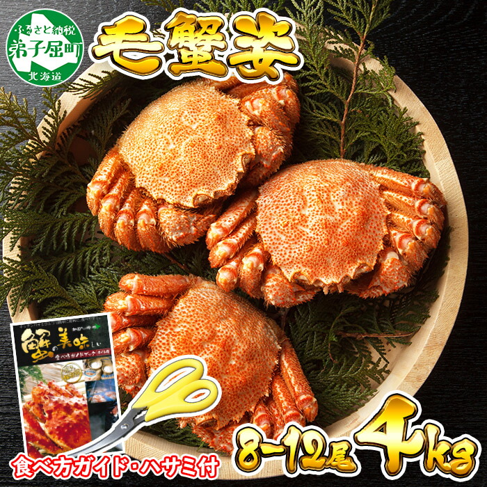 人気ブランド 楽天市場 ふるさと納税 カニ 428 蟹 毛蟹 8 12尾 計4kg前後 北海道産 かに カニ 毛ガニ 毛がに 毛カニ 毛蟹セット 丸ごと 特大 蟹肉 ボイル 加藤水産 北国からの贈り物 弟子屈町 円 北海道弟子屈町 肌触りがいい Lexusoman Com