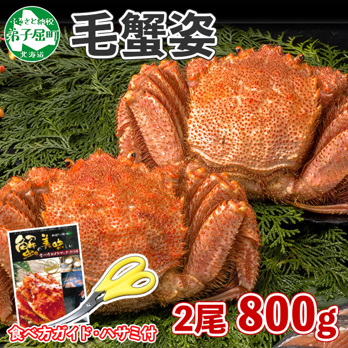 718 蟹 計800g前後 2尾 ふるさと納税 カニ カニ かに 海鮮 蟹 食べ方ガイド 専用ハサミ付 ボイル 2尾 北海道 弟子屈町 毛蟹 海鮮 北海道加工 ボイル 円 北海道弟子屈町