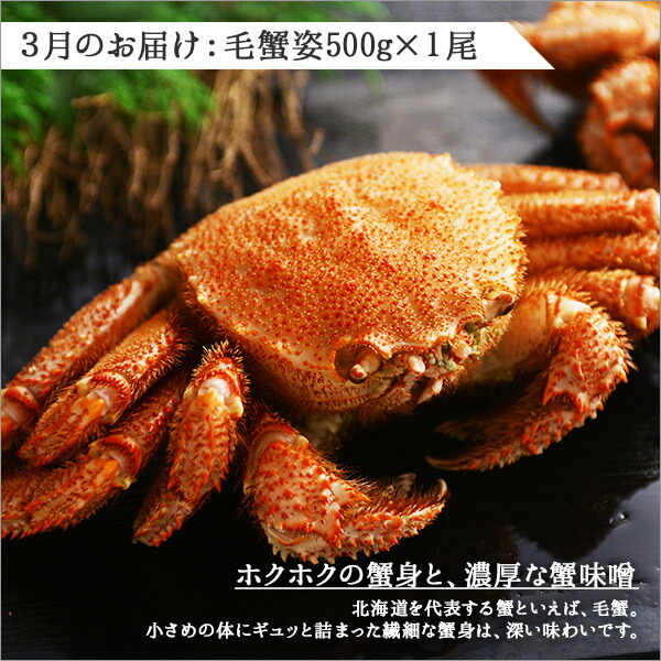 定期便 ふるさと納税 199 北海道なまらうめぇ頒布会 グルメ ご当地 北海道加工 海鮮重 加藤水産 ズワイガニ ズワイガニ カニ ずわい 毛蟹 毛ガニ いくら醤油 蟹 かに カニ 海鮮 加藤水産 北国からの贈り物 弟子屈町 北海道弟子屈町