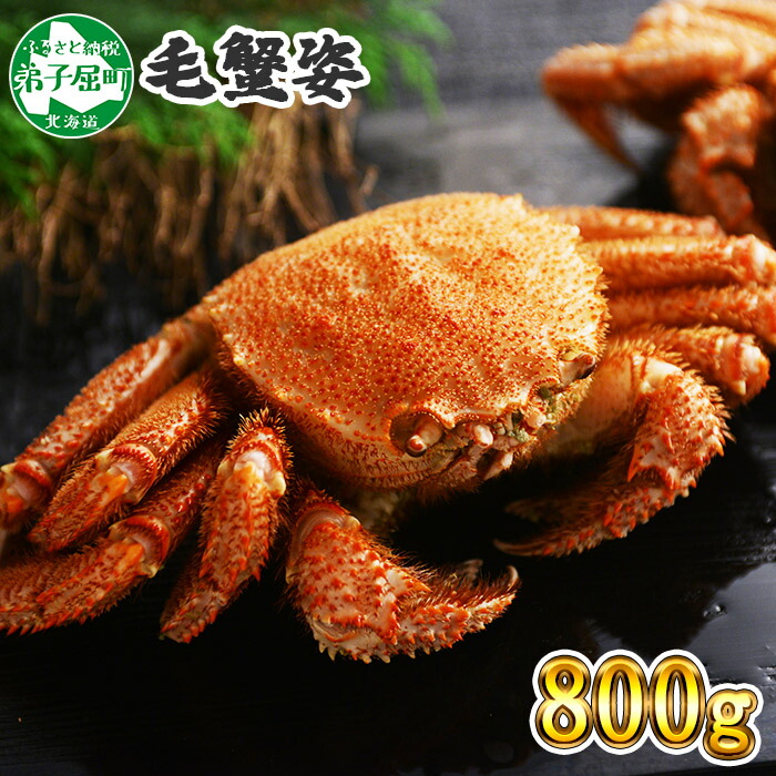 【ふるさと納税】 蟹 毛蟹 800g前後 北海道産 かに カニ 毛ガニ 毛がに 特大 蟹肉 ボイル 加藤水産 北国からの贈り物 弟子屈町