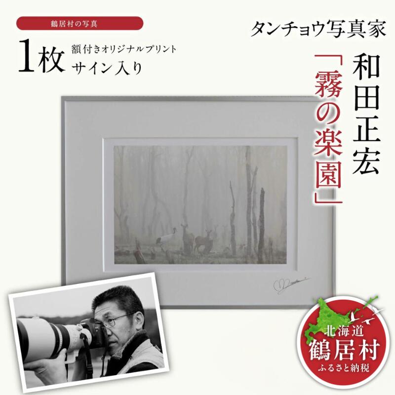 森山知己、【醍醐桜】、希少な額装用画集より、美品、新品額装付 楽天市場】森山観月「桜花に小鳥」 F8号（額外寸61x50cm） 高