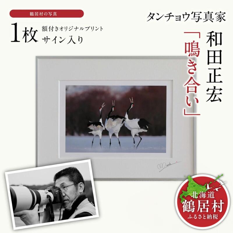 【ふるさと納税】タンチョウ 活動写真家 和田正宏 額付き添い人 目あたらしい刷り上げる「 鳴き合い 」(表われ入り口・入口)