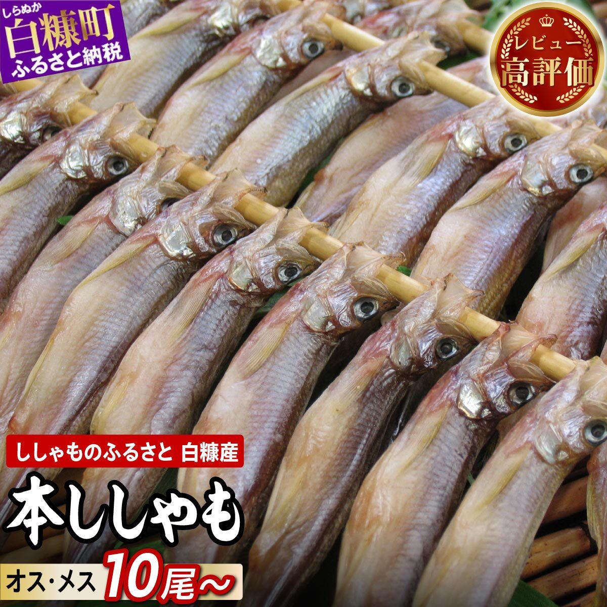 【楽天市場】【ふるさと納税】ししゃも 国産 10尾 / 20尾 / 30尾 /60尾 【選べる容量】 海鮮 ふるさと納税 魚 本ししゃも シシャモ 柳葉魚 白糠産 国産 魚介 高級 干物 惣菜 子持ち グルメ 食べ物 人気 ランキング 冷凍 北海道 白糠町 白糠 訳あり ふるさと納税 北海道 白糠町:北海道白糠町