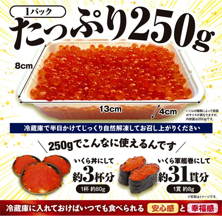 楽天市場 ふるさと納税 緊急支援品 いくら醤油漬 鮭卵 500g 250g 2 ふるさと納税 いくら 北海道白糠町