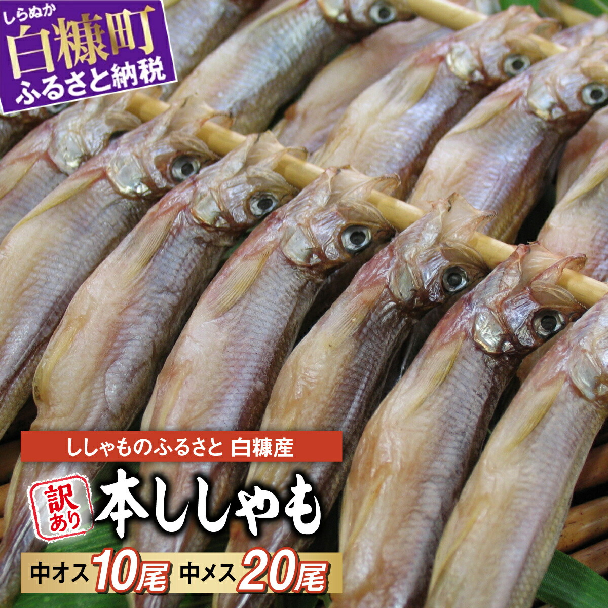 楽天市場】【ふるさと納税】ししゃも 国産 10尾 / 20尾 / 30尾 /60尾