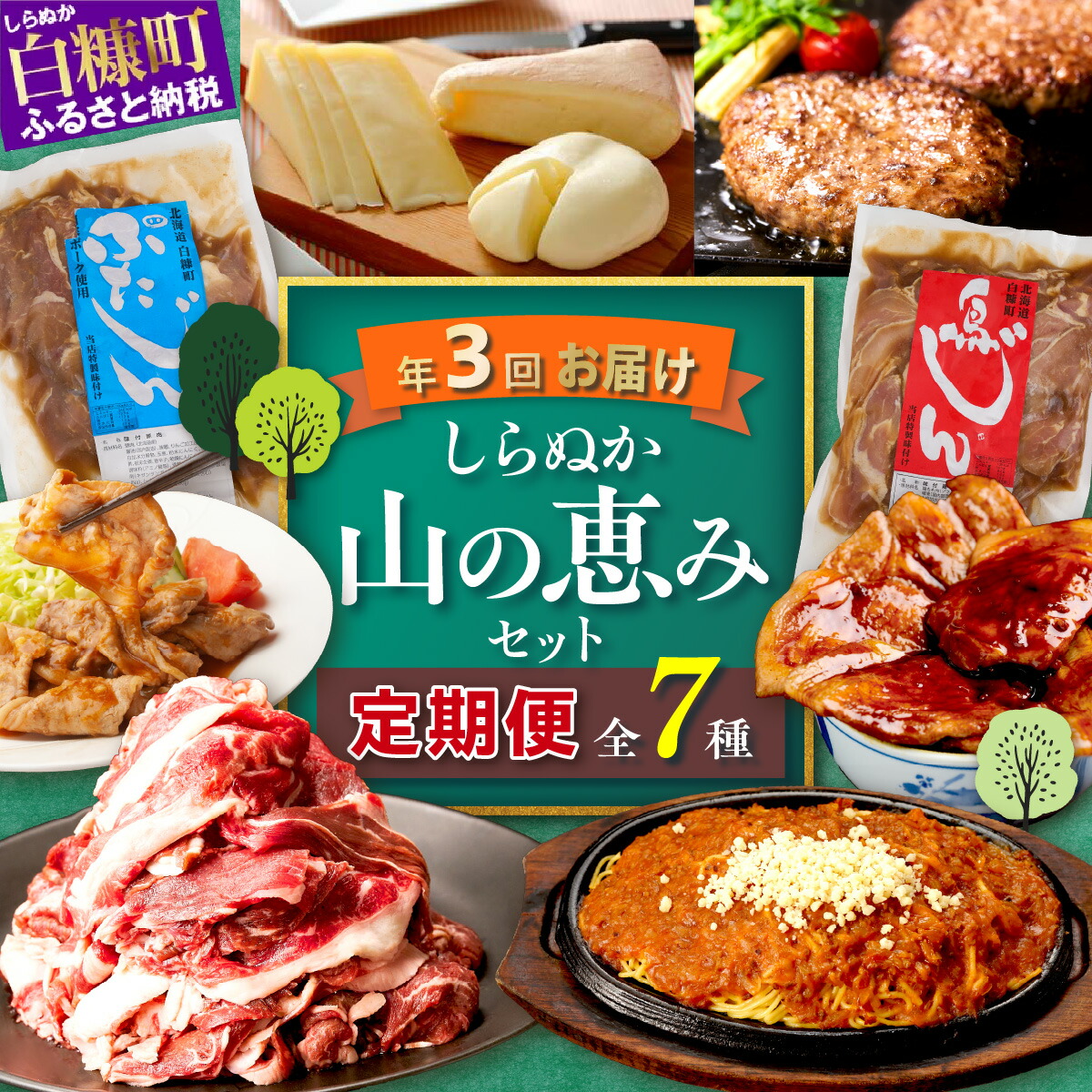 【ふるさと納税】しらぬか山の恵みセット'24-'25【年3回定期便】　頒布会 魚 鮭