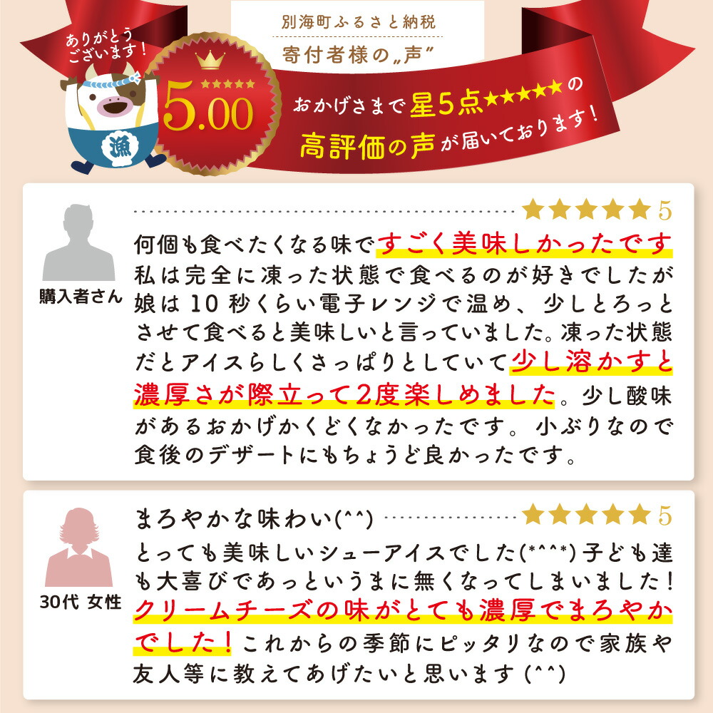 【ふるさと納税】高評価★4.50 総合1位 濃厚 シューアイス 6個 10個 20個 個包装 【 発送時期が選べる 】（ ふるさと納税 シュークリーム シューアイス ふるさと デザート アイス 北海道 別海町 人気 アイスクリーム スイーツ お菓子 訳あり ）
