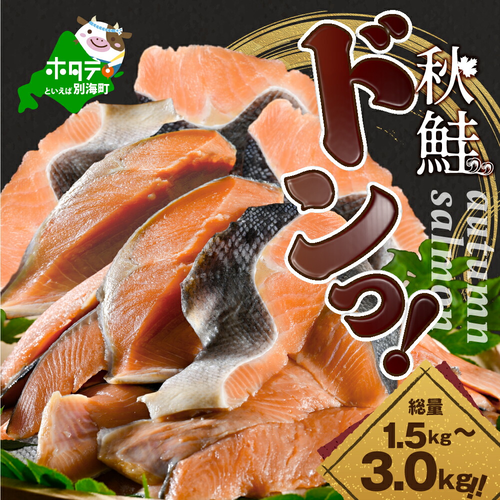 【ふるさと納税】秋鮭ドンっ！【 新物 / 令和5年物 】【 発送時期が選べる 】「秋鮭 切り身（無塩）」料理に便利  （ ふるさと納税 鮭 訳あり ふるさと納税 秋鮭 切り身 切身 さけ シャケ 鮭  魚 海鮮 北海道 別海町 人気 ランキング 規格外 不揃い さけ 秋 ）