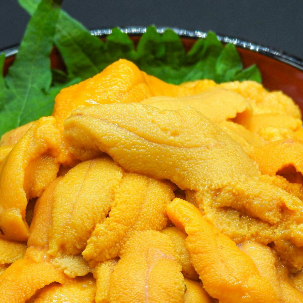 ふるさと納税 北海道 イクラ 塩水ウニ 北海道産 産 いくら 海鮮 塩水うに セット 100g