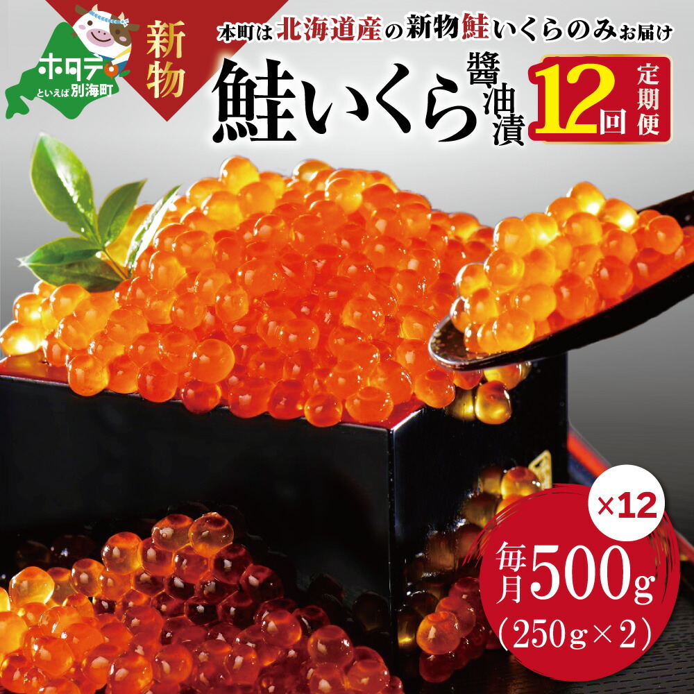 北海道 産 6kg イクラ 定期便 ふるさと納税 2パック 鮭 250g 12回 計 × 500g 産直 いくら 北海道 産 定期便 ふるさと納税 イクラ 6kg