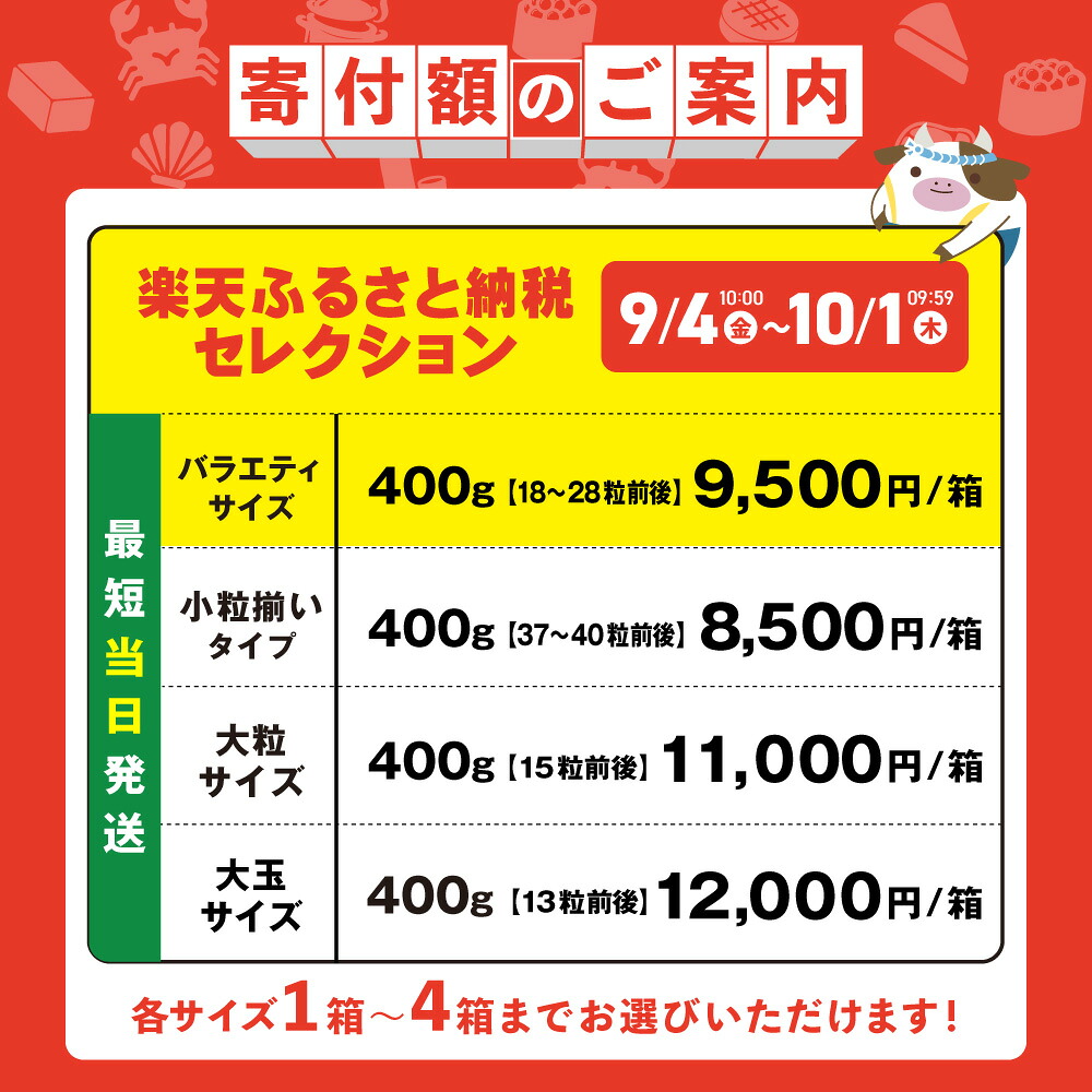 【ふるさと納税】【最強翌日配送】2年連続 総合1位 ホタテ 訳あり ( ふるさと納税 ほたて ふるさと納税 訳あり 帆立 ふるさと わけあり ホタテ貝柱 貝 人気 不揃い 刺身 規格外 魚介 ランキング 海鮮 冷凍 最強配送 大粒 北海道 別海町 )（クラウドファンディング対象）