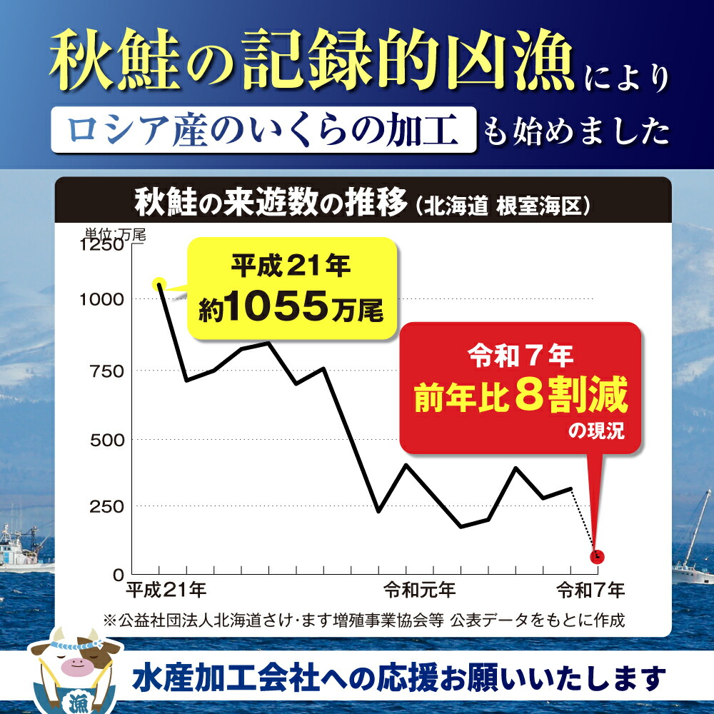 【ふるさと納税】高評価★4.76 総合1位 いくら 醤油漬け 250g～2kg【内容量 発送時期が選べる】（ ふるさと納税 いくら 北海道 ふるさと納税 訳あり イクラ ふるさと 鮭 醤油漬 個包装 人気 ランキング 小分け 海鮮 魚卵 北海道 別海町 ）（クラウドファンディング対象）