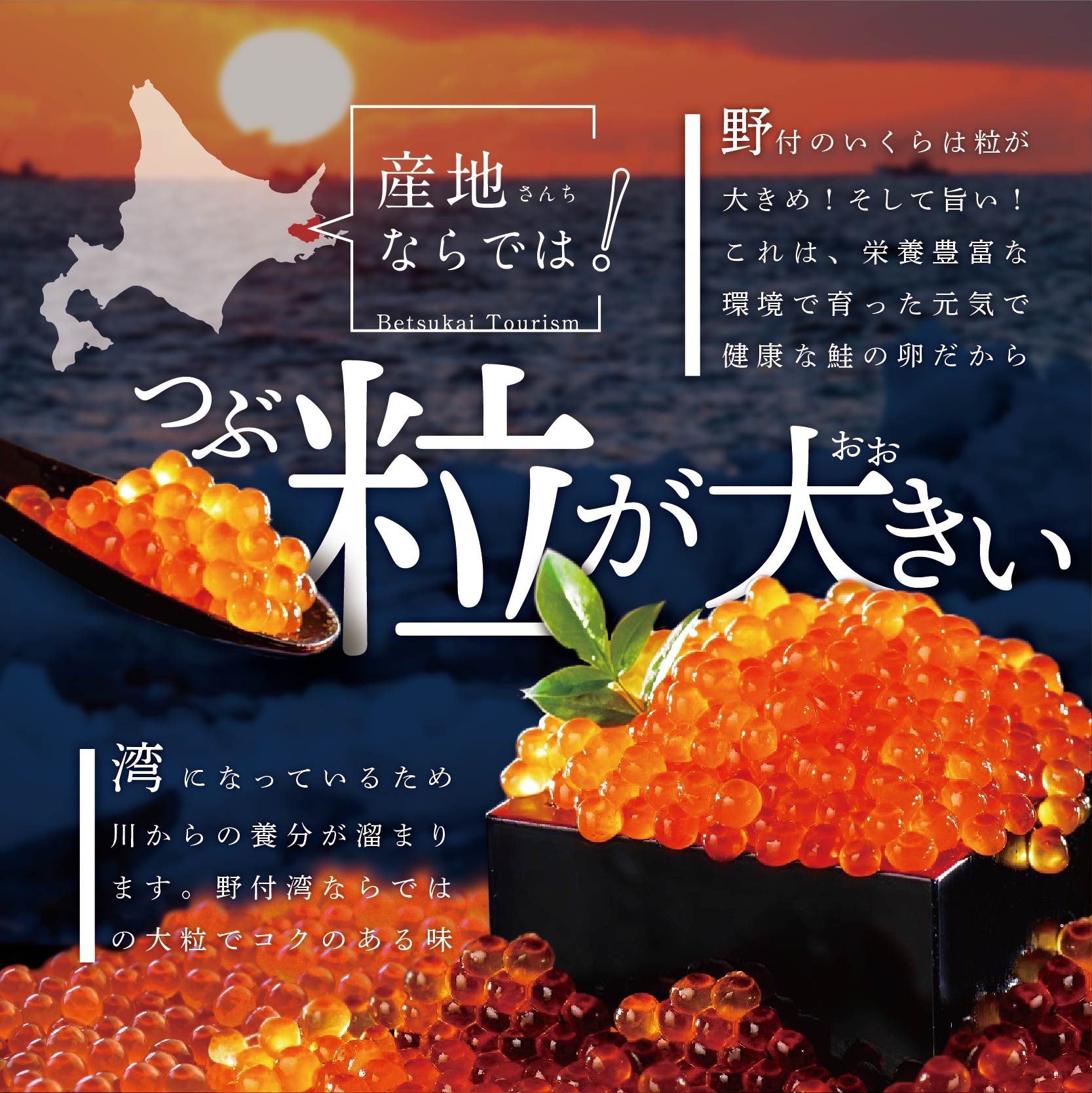 【ふるさと納税】国産大粒いくら!希少新物!漁協直送!本場「北海道」いくら醤油漬250g(鮭国産鮭卵海鮮冷凍贈答北海道産道産醤油魚魚介類ふるさとのうぜいふるさとしょうゆfurusatonouzeiふるさと納税いくら北海道イクラ)