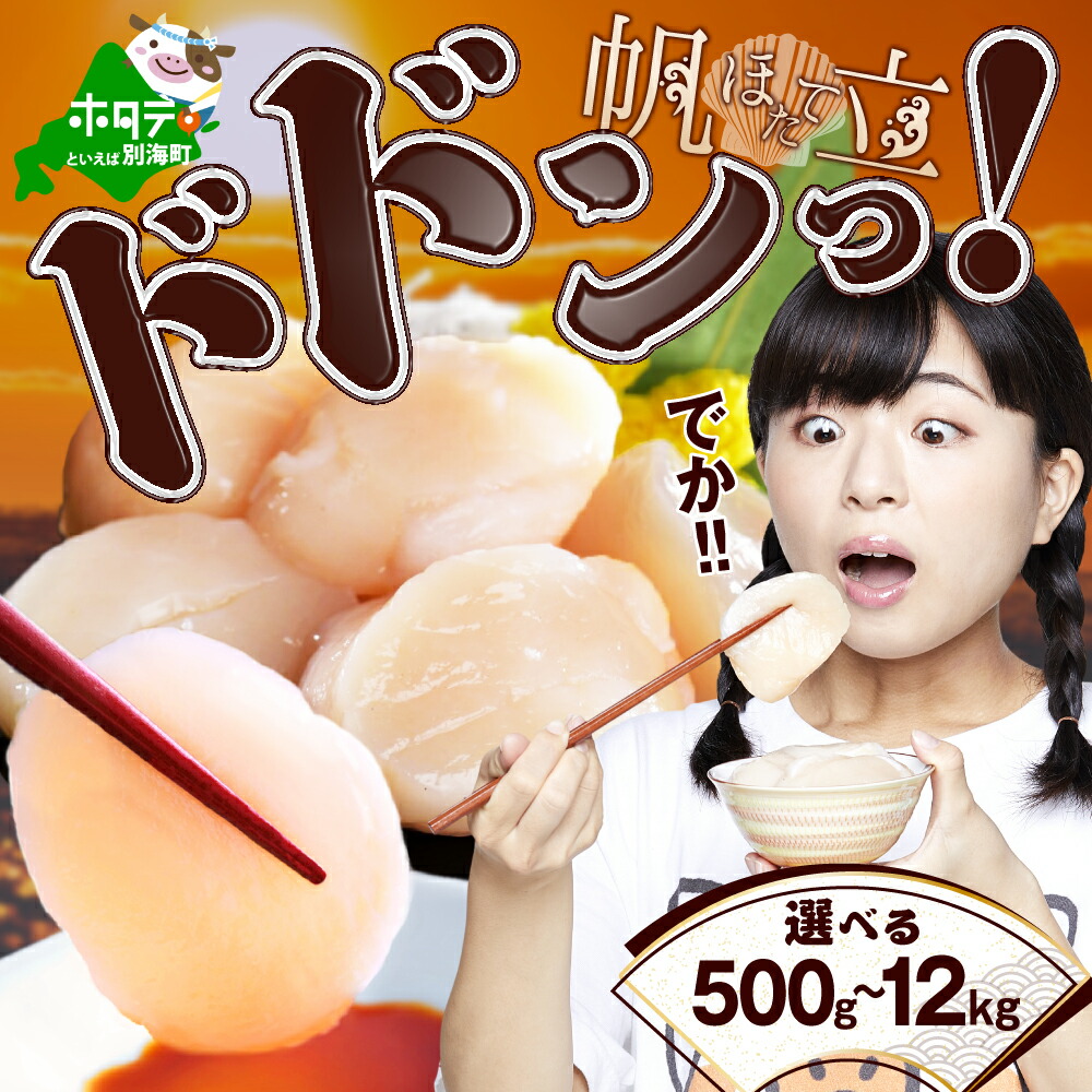 【ふるさと納税】高評価★4.93 ジャンボ ホタテ 500g 1kg 北海道 野付産 冷凍ホタテ 貝柱 （ ふるさと納税 ほたて ふるさと納税 帆立 ふるさと納税 定期便 定期 訳あり ほたて貝柱 ホタテ 貝柱 北海道 海鮮 刺身 特大 生食 中国禁輸 春 旬 北海道別海町 発送時期が選べる ）