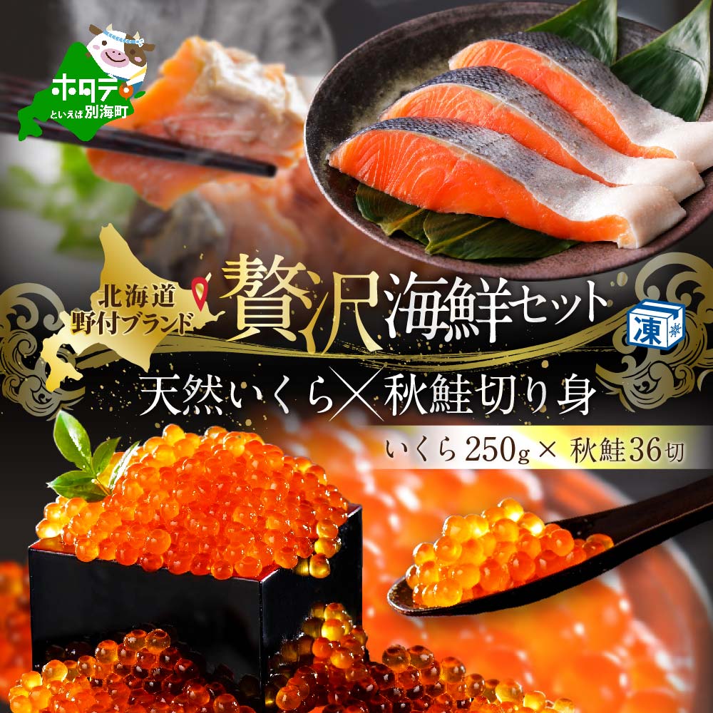 激安先着 天然 秋鮭 切身 36切 3切入 12p と 鮭いくら醤油漬け 250g 漁協直送 ふるさと納税 いくら サーモン セット 鮭 Fucoa Cl