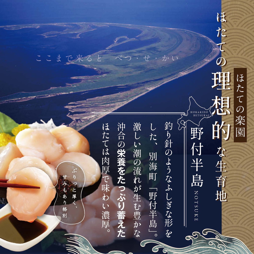 週間売れ筋 北海道 野付産 漁協直送 冷凍ホタテ 料理に使いやすい 中粒 ホタテ 500g 全 10回 ふるさと納税 ほたて 定期便 帆立 ほたて貝柱  ホタテ貝柱 帆立貝柱 送料無料 10 fucoa.cl