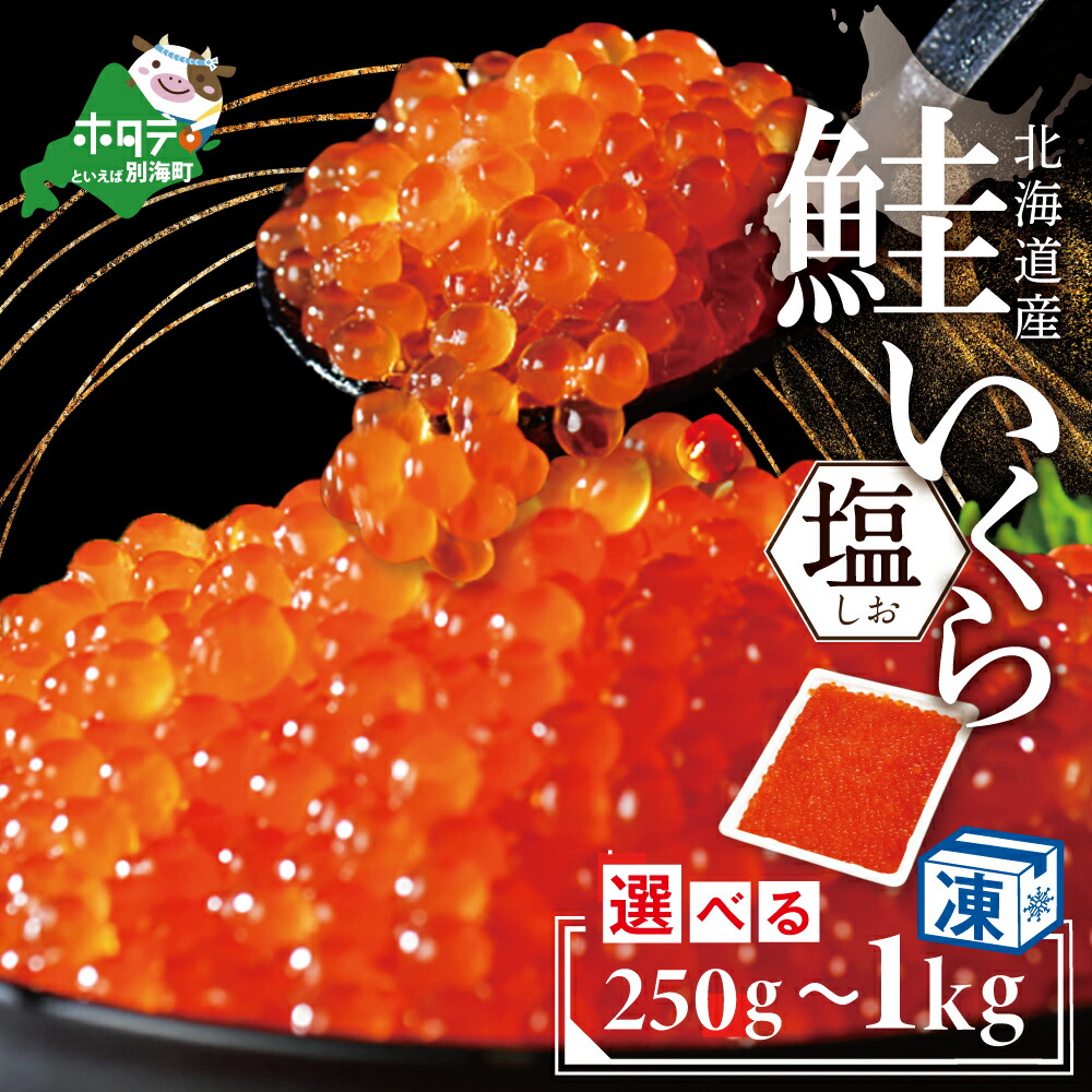 【ふるさと納税】 高評価★4.5 本場 塩いくら 北海道 産 塩イクラ 選べる内容量 250g ～ 1kg（ ふるさと納税 いくら 北海道 国産 ふるさと納税 イクラ ふるさと納税 塩 いくら 訳あり のおいしさ 塩漬け いくら塩漬け 国産 別海町 小分け 人気 ランキング 北海道 別海町 ）