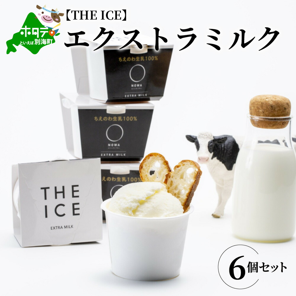 市場 ふるさと納税 定期 定期便 業務用 別海町産生乳使用 アイス THE アイスクリーム 連続 2ヶ月 年2回 ICE