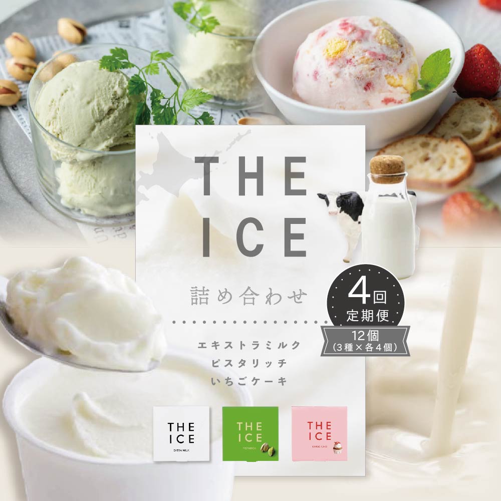 【ふるさと納税】【毎月定期便】【THE ICE】3種詰合せ12個セット×4ヵ月定期便 （J FARM AMUSE 株式会社）