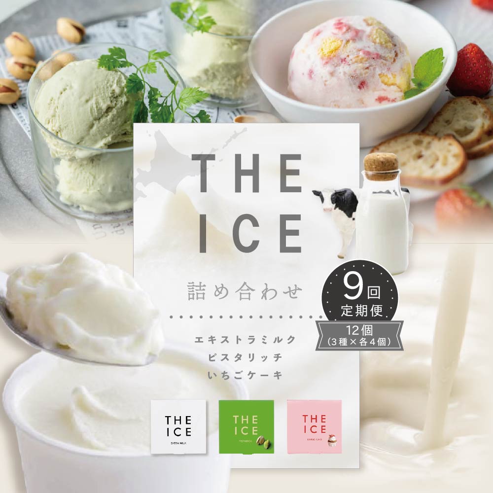 【ふるさと納税】【毎月定期便】【THE ICE】3種詰合せ12個セット×9ヵ月定期便 【be003-1073-100-9】（J FARM AMUSE 株式会社）