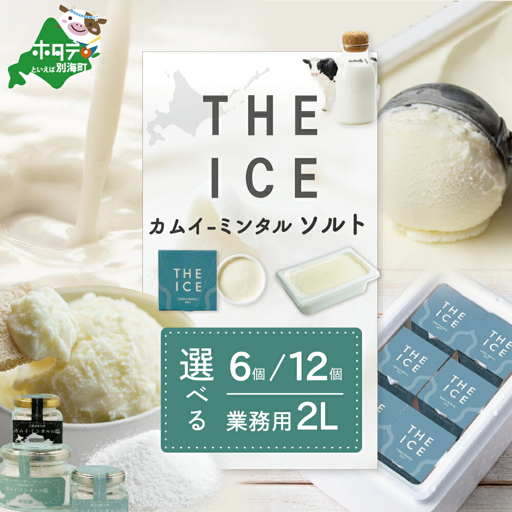 【ふるさと納税】THE ICE KAMUI-MINTAL SALT ( カムイ・ミンタルソルト ) ジェラート 選べる内容量 100ml&times; 6個 12個 2L&times;1個｜北海道別海町