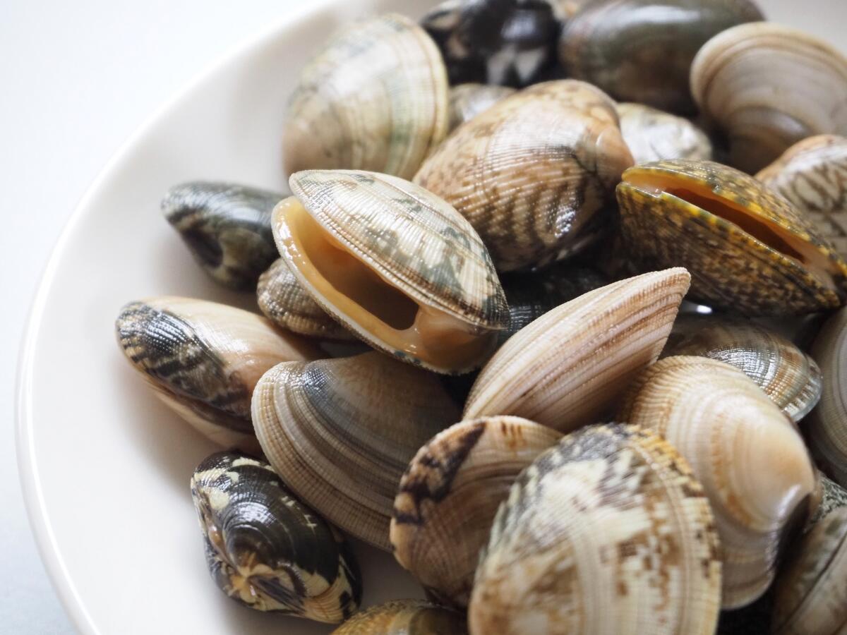 ふるさと納税 北海道 野付産 大粒 天然 あさり 3kg 1 150 粒 Emescla Com Br